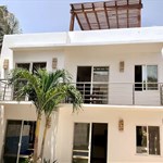 A white house with palm trees